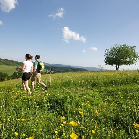 Konukevi Haus Daheim Todtnauberg